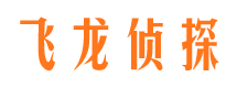 未央市私家侦探公司